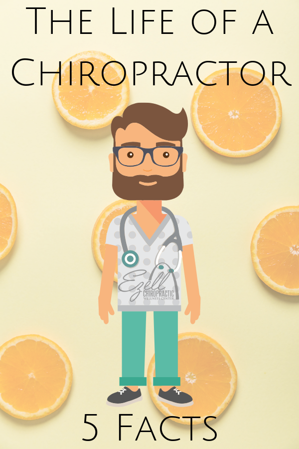 What is the life of a chiropractor?